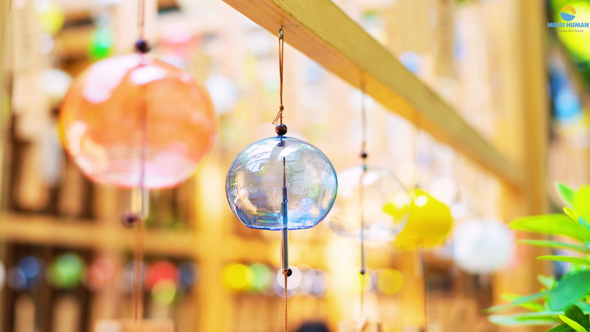 Furin - Thanh âm của mùa hè Nhật Bản